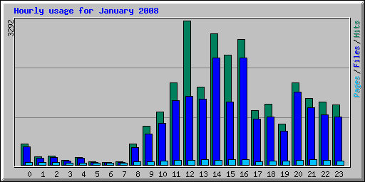 Hourly usage for January 2008